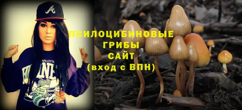 Псилоцибиновые грибы Magic Shrooms  Вихоревка 